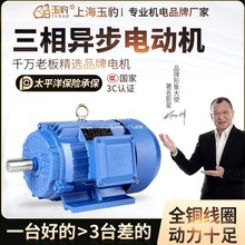 全铜三相异步电动机0.75/1.1/1.5/2.2/3/4/5.5/7.5KW电机380V三相