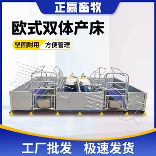 厂家定制热镀锌产保一体欧式猪产床养殖设备欧式双体母猪分娩产床
