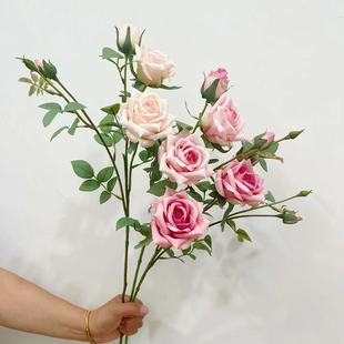 ��� ����4�^�����¼� õ�廨�� �鼆�zӰ �Ҿ�ܛ�b���滨�ٻ��N