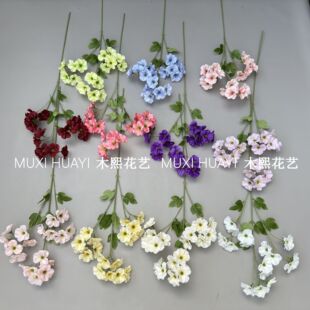 ��ľ���������滨��c��Y�ü��b�������[���ߑ����쾰·���廨