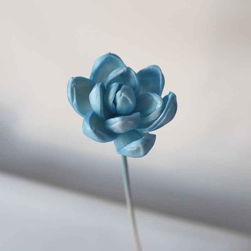 Un pequeño nenúfar azul claro mide unos 30 cm de largo.