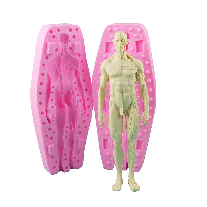 Fondant muñeca pastel molde médico humano músculo y hueso anatomía modelo hornear decoración de yeso herramienta abrasiva