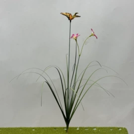 儿童读物;社科生活;四件套