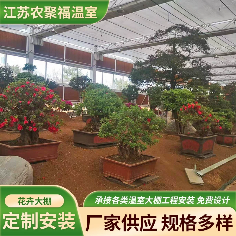 Цветочная теплица пленка монолитная теплица посадка сельскохозяйственных теплицы Фруктовая теплица оранжерея установка каркаса