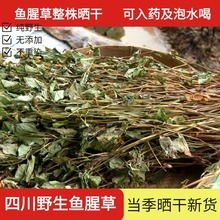 鱼腥草干货四川500g新鲜大山中药材干茶无硫折耳根狗腥草泡水凉茶