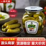 俄式风味喀秋莎酸黄瓜罐头乳瓜即食开胃脆爽泡菜野餐泡菜腌制食品