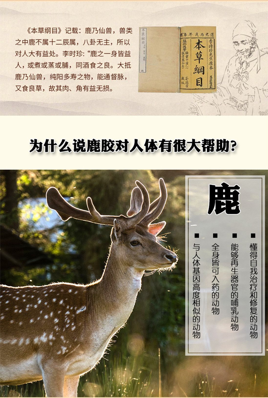 Ready to Eat Deer Antler Gelatin Cake with Ginseng 500g Iron Box Shandong Dong'e quality and texture