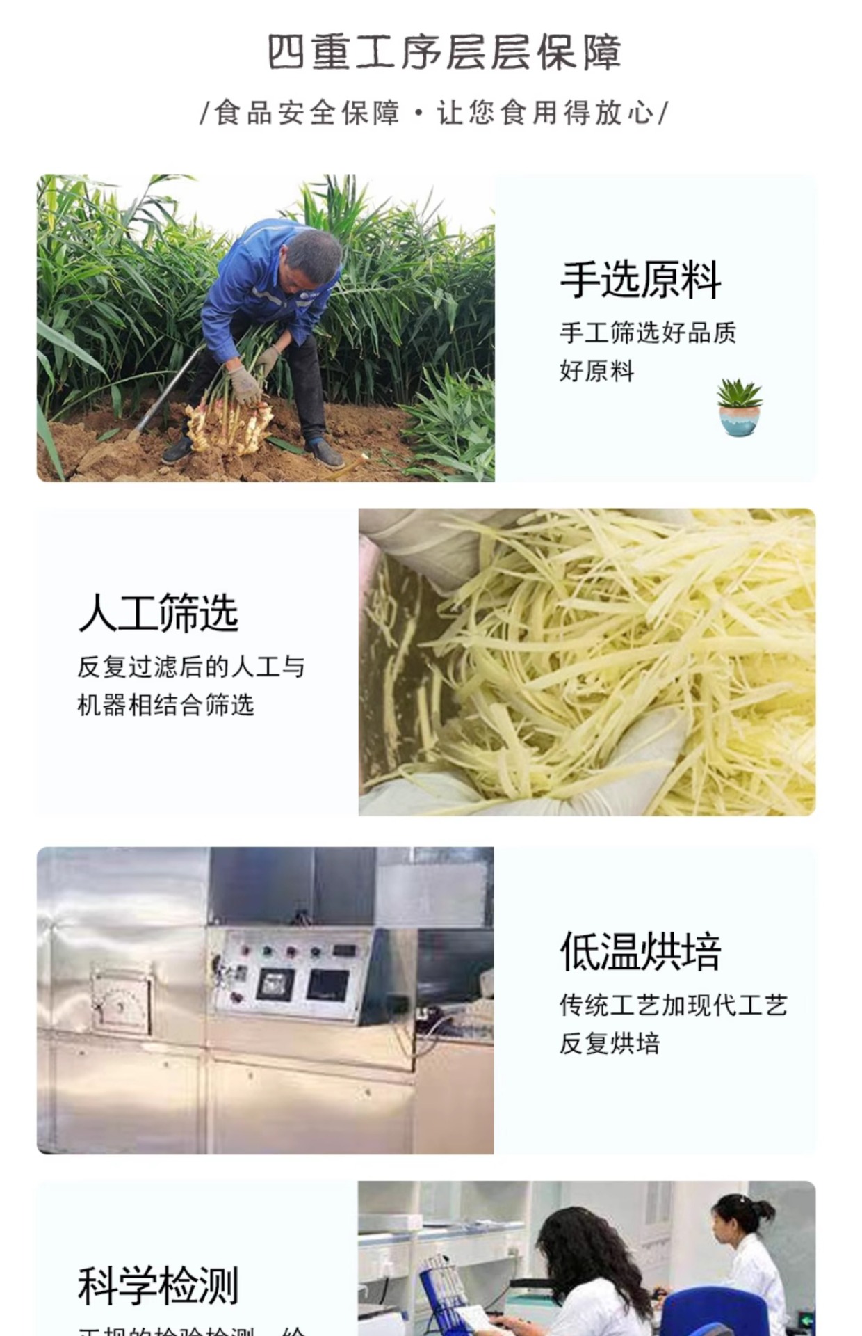 Dried Ginger Slices Gan Jiang 500g Dehydrated Small Yellow Ginger for Tea and Cooking specifications
