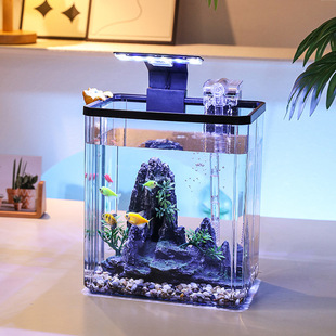 2024 Fish Tank Small Home Living Room Desktop Ornaments Ecological Tank Filter Oxygen Generator Landscaping Tank Full Spectrum