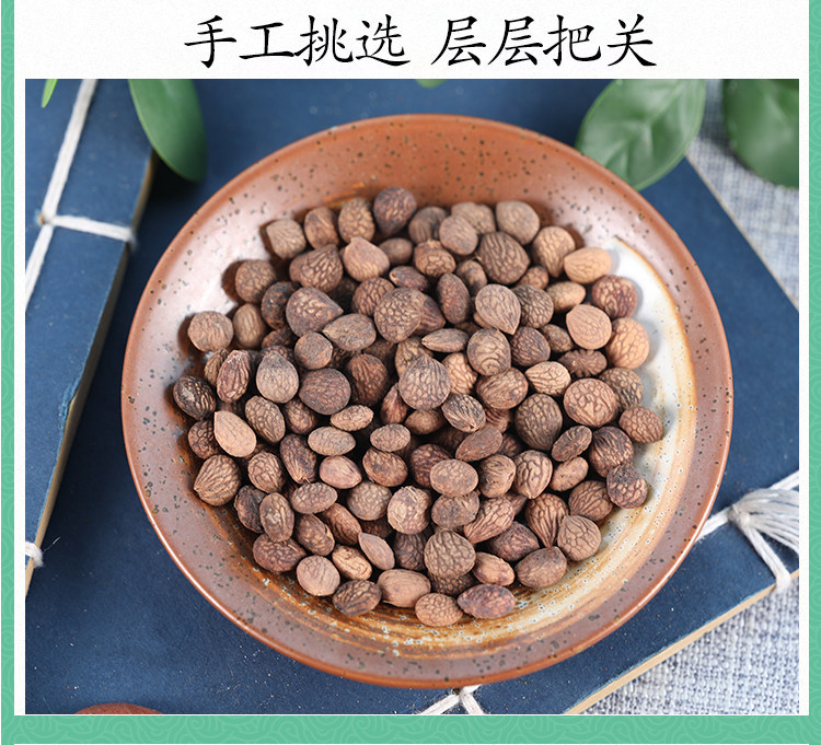 Wild Rui Ren Kernels Rui Ren Zi 500g Dried Prinsepia Seeds Traditional TCM Herb specifications
