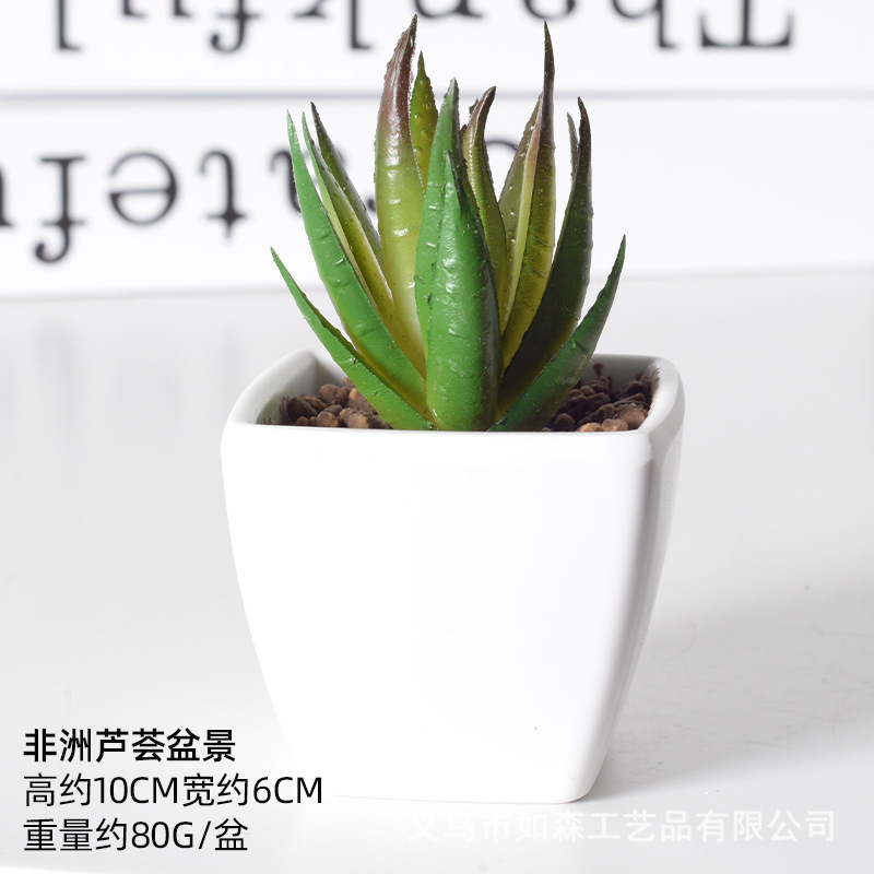 Simulación de plástico carnoso bonsai flor falsa combinación oficina interior escritorio plantas verdes pequeños adornos plantas artificiales al por mayor image 14