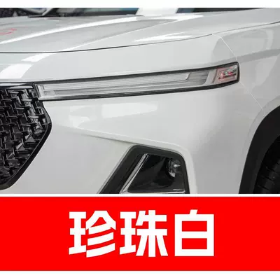 and Xingchen 310W models, with waterproof – Avtomobil boya qələmləri - buy-one-get-two-1-coat-of-color-paint-1-coat-of-brightening-polish-plus-a-free-toolkit-cleaning-cotton-and-applicator-brush-pearl-whitesnow-white