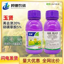 新农基玉贤 25%硝磺草酮莠去津禾阔双除玉米苗后安全型稗草除草剂