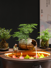 �ŷ��B�~�_���ײ͑���ͥԺ�~���쾰�[��ȫ���^�V��ˮ�չ�DIY���