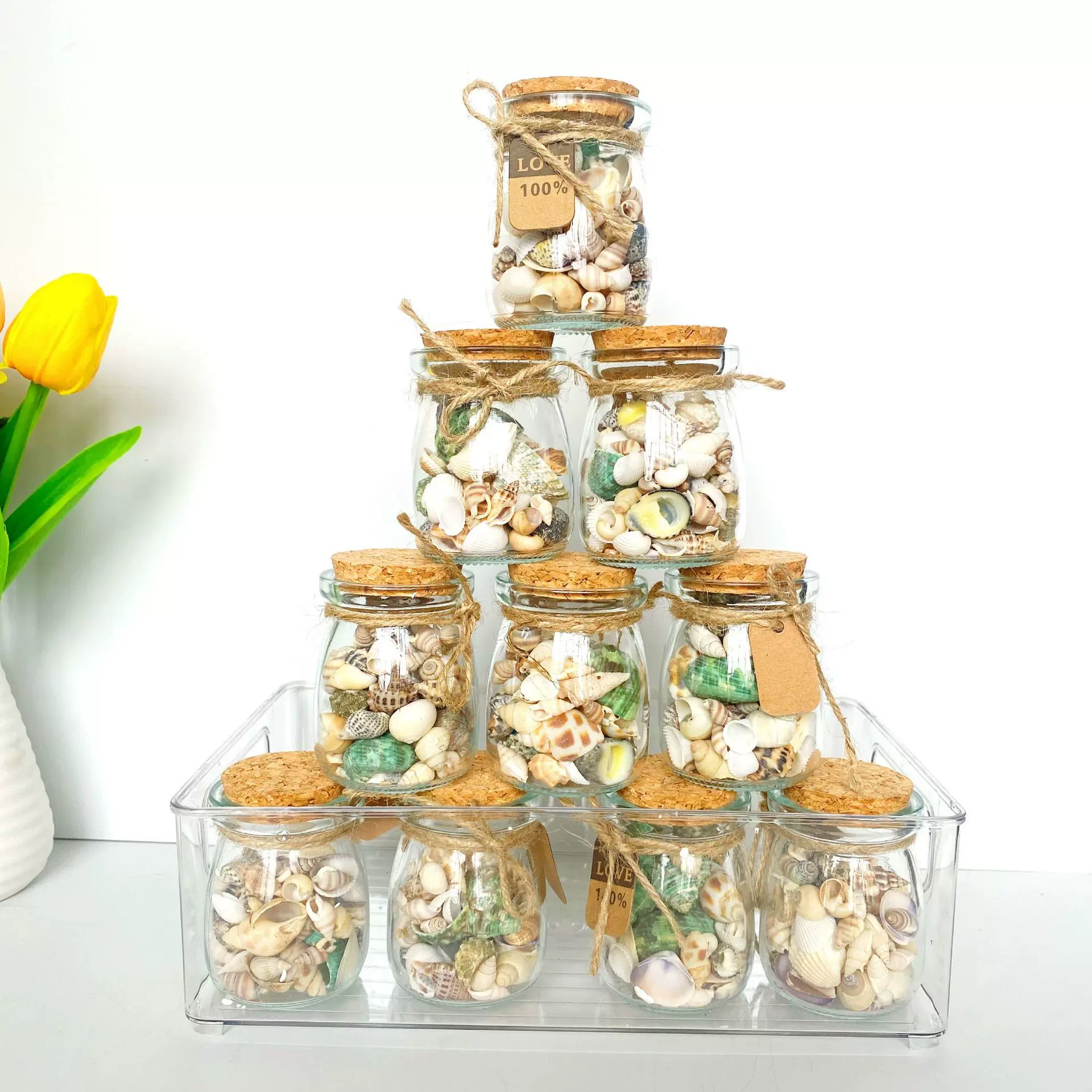 DIY玻璃漂流瓶海螺贝壳收藏工diy贝壳相框鱼缸造景大海螺壳装饰