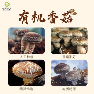 ���|�ЙC�㹽�ɴ��bɢ�b���o�����_�������������ަ�����l���l