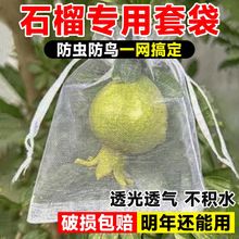 ʯ�����״���ʯ����״����x���B�W���W��ɏ�F�����O��ˮ������