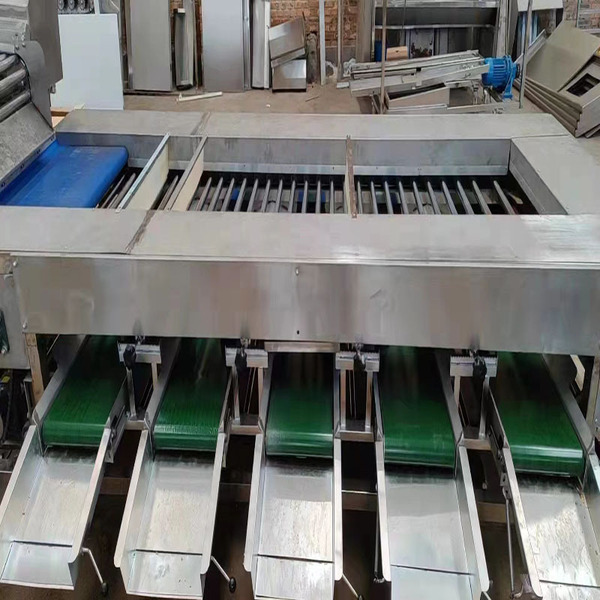 Sweet potato grading machine