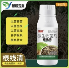 �������Ծ��B���B�o��ϵ���ѷ���С����������΢�������