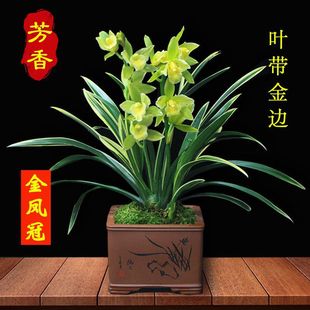 ��߅���N�m������ֲ�����F�ļ����㻨�����P�ڿ͏d���ܽ��m��