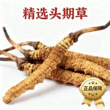 ��Ӄr���x�Ĳ����ݶ��x�ĲݶY�����ø��x�ݾ������b���x�Ĳ����l