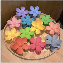 nWͬWtץA󻨶ŮɰlAPlƷŮRβA