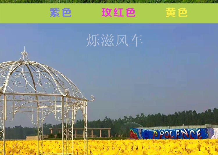 36CM太阳花_31.jpg
