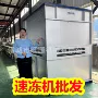 冷冻连续式隧道樱桃单冻机