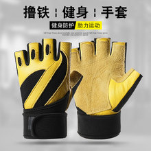 ������ָ�����Б����\�ӷ���͸����ĥ�T��Ӗ�����o�����e���o����