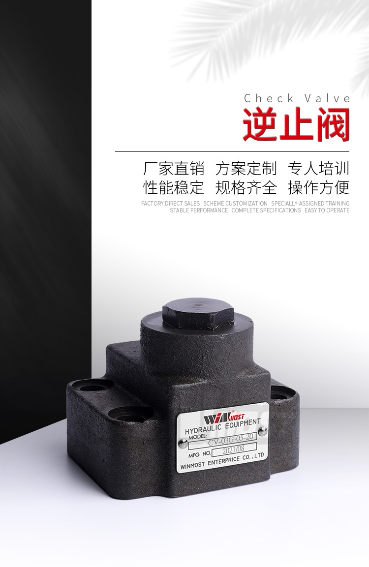 逆止阀CV系列詳情_01.jpg