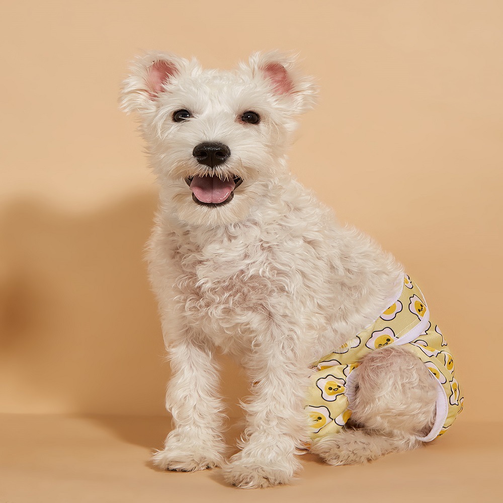 Amazon perro hembra perro fisiológico pantalones pañal pañales menstruales mascotas fisiológicas pantalones fábrica al por mayor image 15