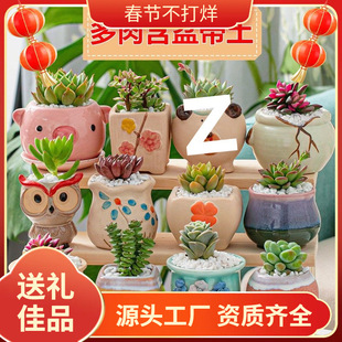 �����������߉�늄Ӈ�ˮ�����Ý����坍���É؇��������늇�ˮ��
