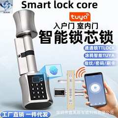 Tuya 家庭用指紋ロック木製ドア電子スマートハンドルロック屋内ドアアパート B&B パスワード盗難防止ドアロック