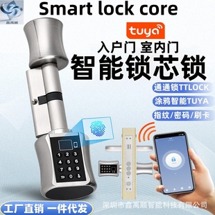 Tuya Home Fingerprint Lock Wooden Door Electronic Smart Handle Lock Indoor Door Apartment B&B Password Anti-Theft Door Lock