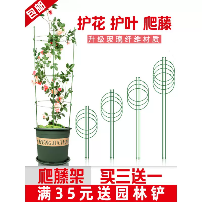 花架爬藤园艺支柱架阳台绿萝月季铁线莲藤本植物攀爬蟹爪兰支撑杆