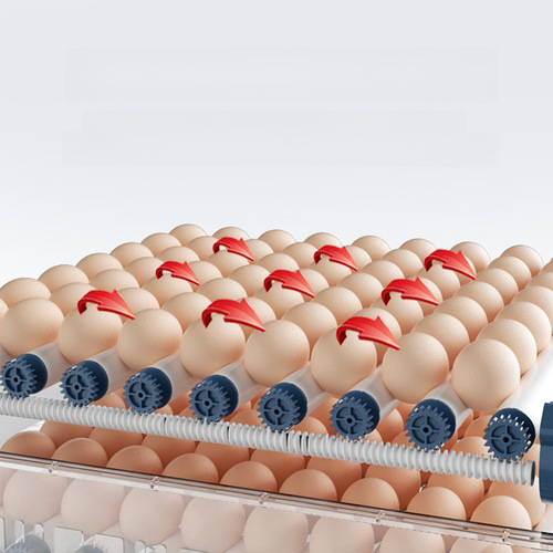 Cross-border foreign trade incubator water bed small egg rutin incubator small household full-automatic smart incubator