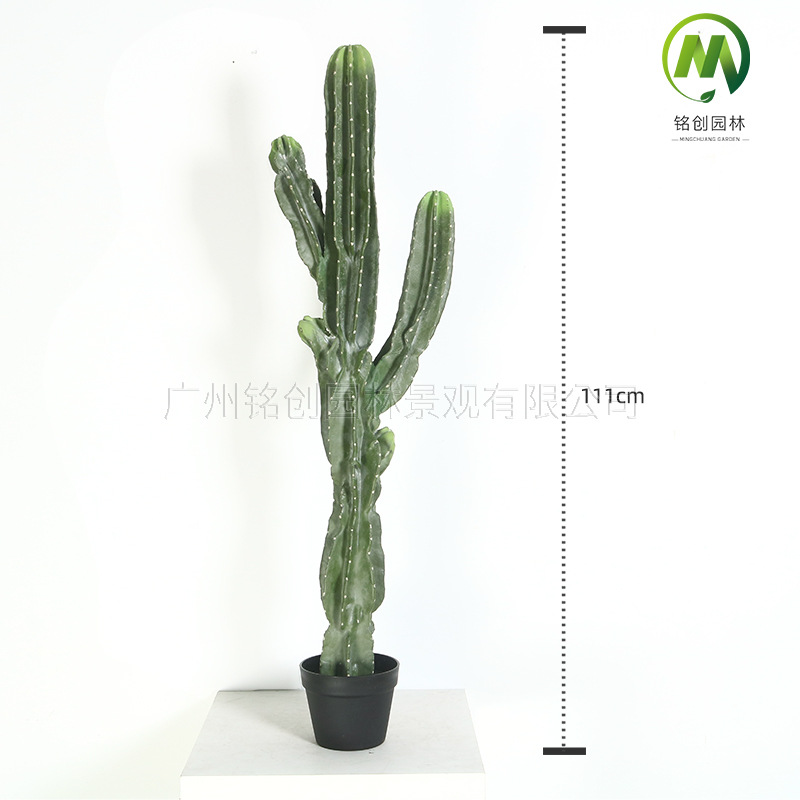 Decoración de paisajismo de plantas falsas en el desierto tropical image 17