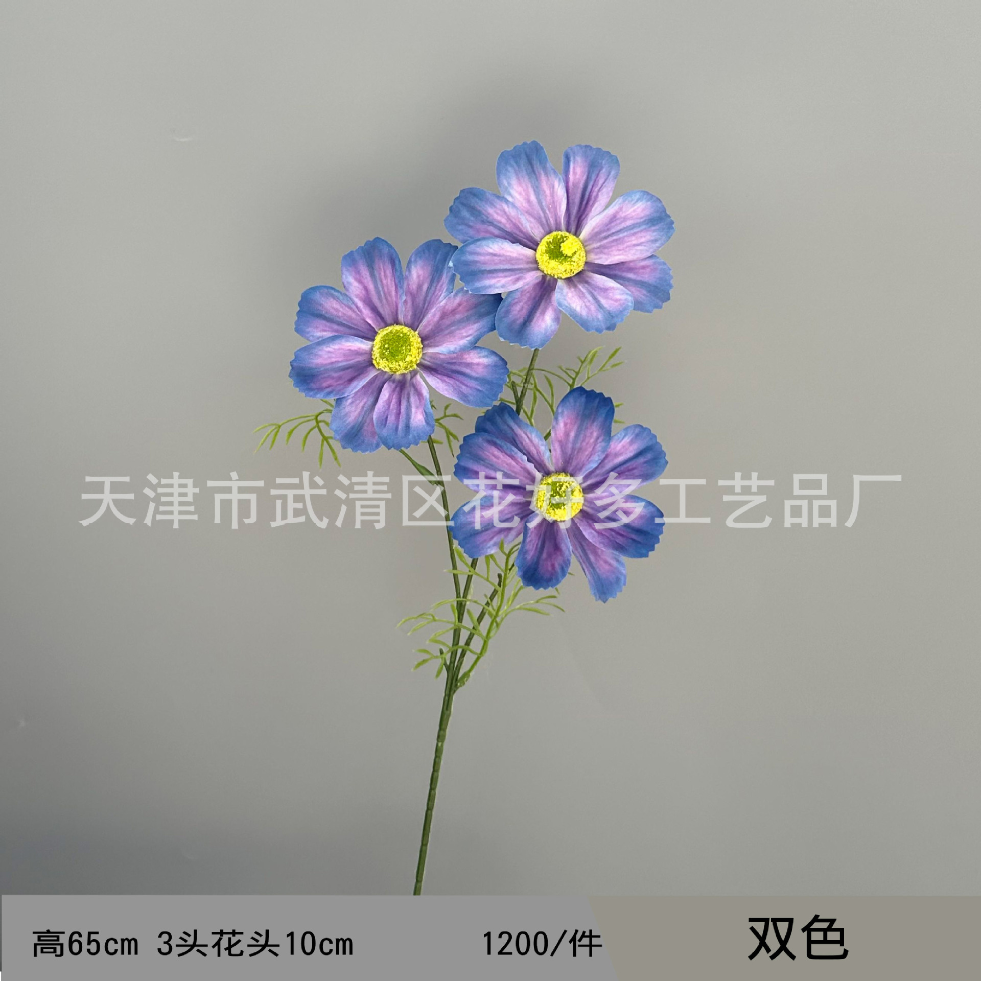 바이컬러