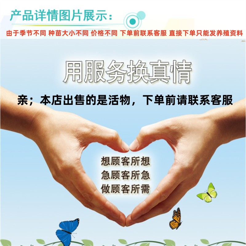 O1CN01ZXJZua1YWjTIkGUTJ_!!4179