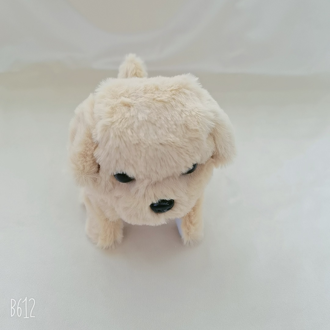 B612Kaji_20220322_124849_980