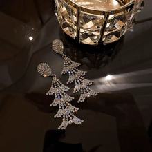 �W���F�����h2025���¿�W�t�����߼��К��|������Ů