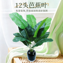 �羳���u���˽������B���W���~�Gֲ�@�־��^�쾰�b���Ž��~