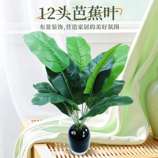 �羳���u���˽������B���W���~�Gֲ�@�־��^�쾰�b���Ž��~