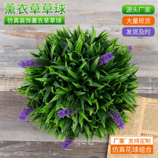 ����ֲ��޹�²���Gֲ�T�ꠝ���b����������̈������ȼ�������