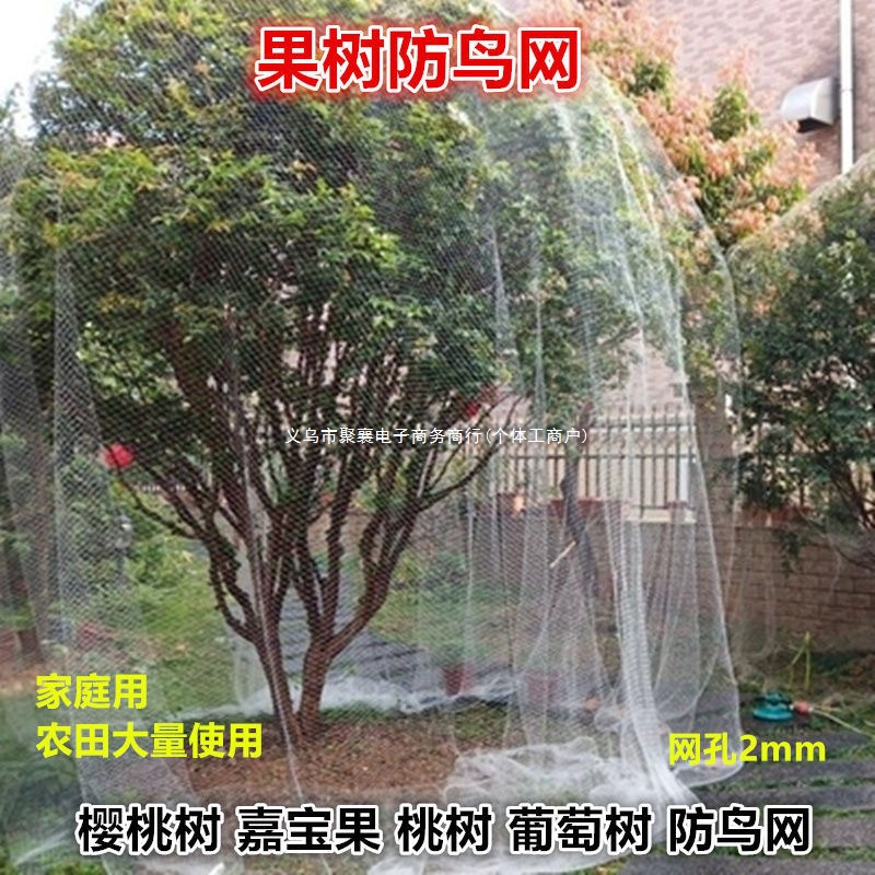 果树防鸟网樱桃树葡萄蔬菜防护罩尼龙网网罩果子防鸟网子批发