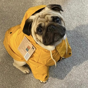 ���NС�ͻ��w���ﹷ���͸�Ȯ��ë����˸���Ȯ��Ę�͸���Ȯ������