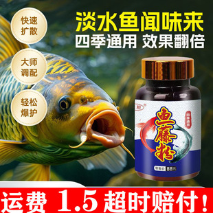 ��đ�~�ٷ�Ұឺڿ���~Сș�a�������c�_���D�C���_���Tʳ���ӄ�