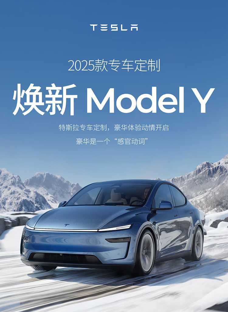 Suede Seat Cushion for Tesla Model Y 2025