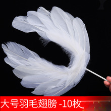 �W�t��ë�����b[�����տ옷���������ʹ���Ψ����ë������