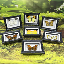 ������˱��Wʽ�������N�Ҿ��b[���������նY����ս̌W��Ʒ